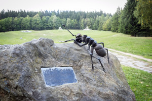 I na severu může být jižní svah :) Mravenci prospektoři se prošli Cestou života v Lázních Jeseník. Dobrodružná cesta je čekala na výstavě ve Vlastivědném muzeu Jesenicka.