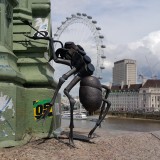 Mravenci prospektoři a London Eye se s Vámi loučí společným EU selfíčkem.