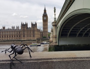 Prospektoři a Westminster Bridge 2016